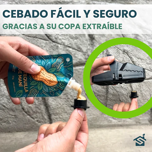 Trampas Rata Raton T-rex Grande De Golpe Pack 5u + Cebo Mantequilla Maní 6