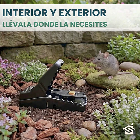 Trampas Rata Raton T-rex Grande De Golpe Pack 5u + Cebo Mantequilla Maní 7