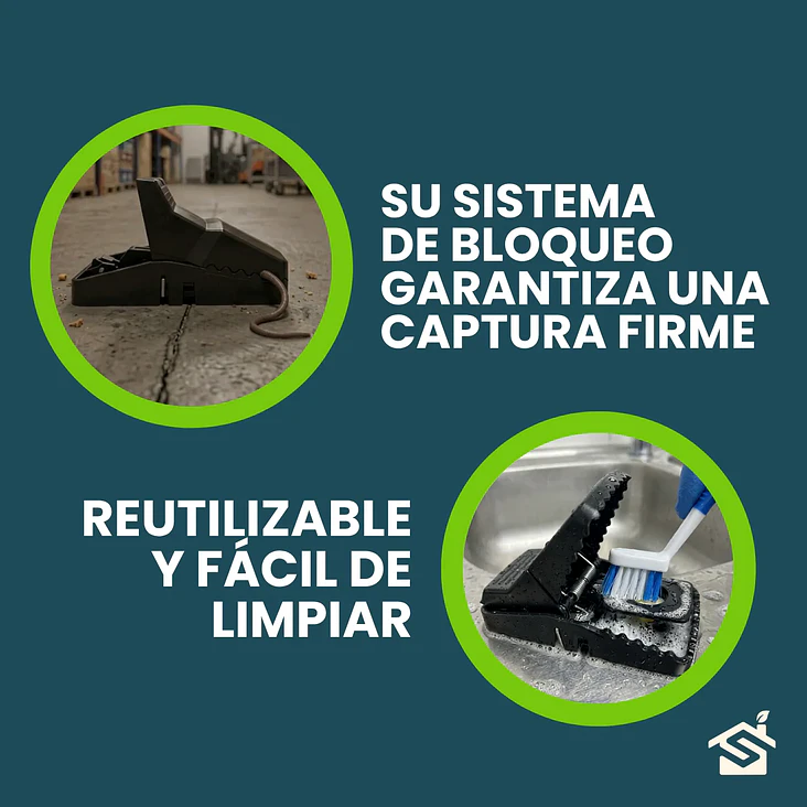 Trampas Rata Raton T-rex Grande De Golpe Pack 5u + Cebo Mantequilla Maní 10