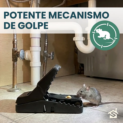 Trampas Rata Raton T-rex Grande De Golpe Pack 5u + Cebo Mantequilla Maní 11