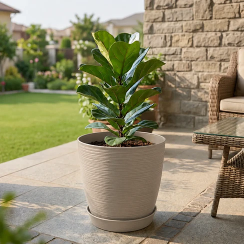Macetero Stone 32cm Exterior Interior Jardín Estilo Piedra 9
