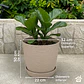 Macetero Stone 32cm Exterior Interior Jardín Estilo Piedra - Miniatura 12