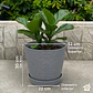 Macetero Stone 32cm Exterior Interior Jardín Estilo Piedra - Miniatura 20
