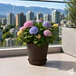 Macetero Stone 24cm Exterior Interior Jardín Estilo Piedra - Miniatura 2