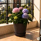 Macetero Stone 24cm Exterior Interior Jardín Estilo Piedra - Miniatura 9