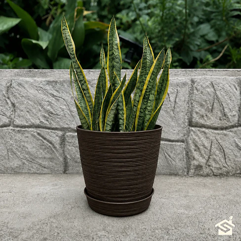 Macetero Stone 24cm Exterior Interior Jardín Estilo Piedra 10