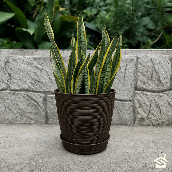 Macetero Stone 24cm Exterior Interior Jardín Estilo Piedra 10