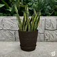 Macetero Stone 24cm Exterior Interior Jardín Estilo Piedra - Miniatura 10
