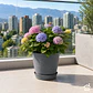 Macetero Stone 24cm Exterior Interior Jardín Estilo Piedra - Miniatura 22