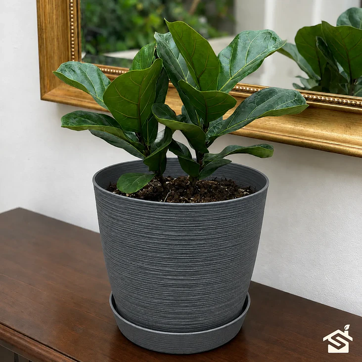 Macetero Stone 24cm Exterior Interior Jardín Estilo Piedra 26