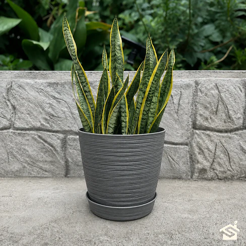Macetero Stone 24cm Exterior Interior Jardín Estilo Piedra 30