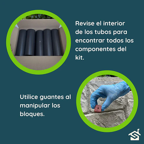 Trampa Ratón Kit Veneno Rastop 100g. + 10 Tubos + Guantes 7