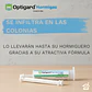 Gel Hormigas Optigard 30 Gr. Syngenta 1 Jeringa - Miniatura 2