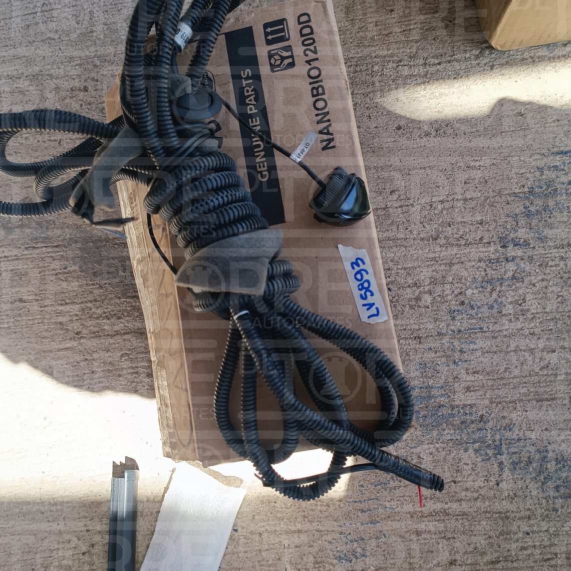 Cámara de reversa 1