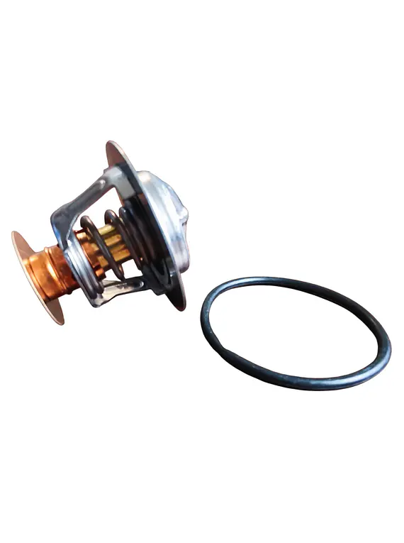 Termostato Para Ford F150 5.0 2011 En Adelante
