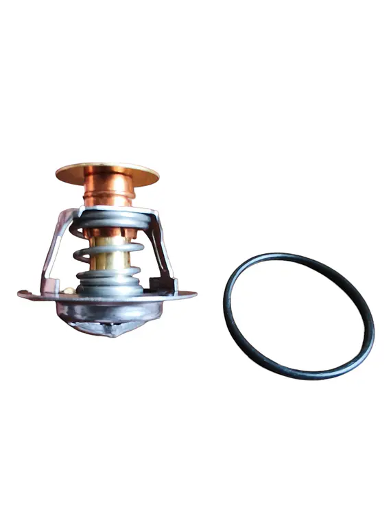 Termostato Para Ford F150 5.0 2011 En Adelante