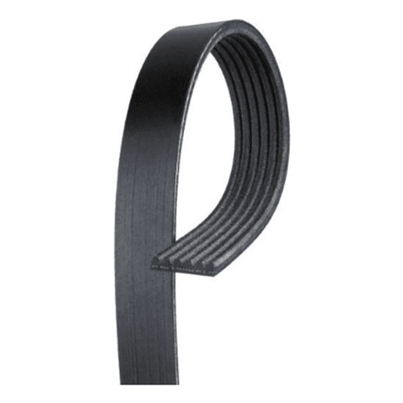 Correa Accesorios 5pk-1250 Peugeot Partner 1.4cc 1999-2005 2