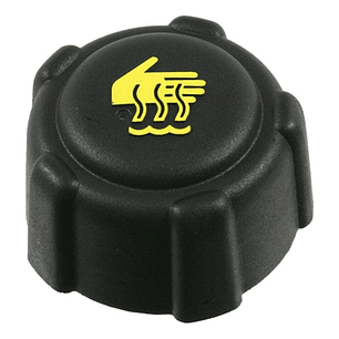 Tapa Deposito Agua Renault Laguna 1.8cc 2002-2005 Original