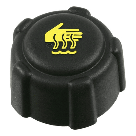 Tapa Deposito Agua Renault Laguna 1.8cc 2002-2005 Original 1