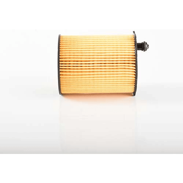 Filtro Aceite Peugeot 308 1.6cc Dv6 2008-2015 Original 2