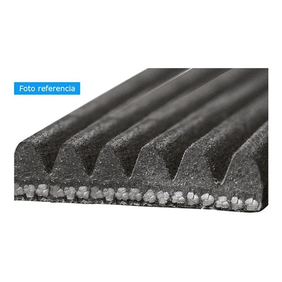 Correa Alternador 6pk-2225 Dodge Dakota 4.7cc 2004-2005 2