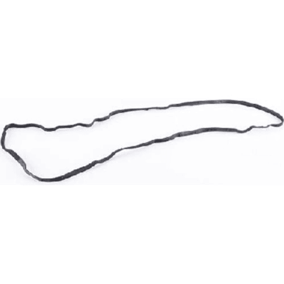 Empaquetadura Tapa Válvula Placa Peugeot 307 1.6cc 2002-2009 2