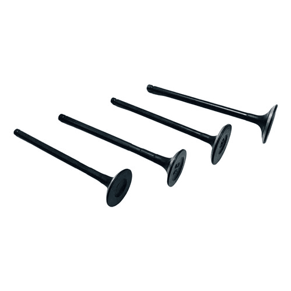 Juego Valvula Admision Suzuki Grand Vitara 2.0 1998-2006 X4 1