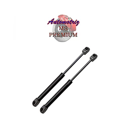 Bombines de capot Lexus GS300