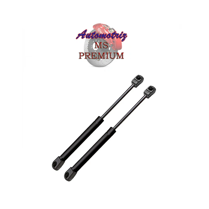 Bombines de capot Lexus GS300