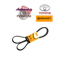 Correa de Accesorios Toyota Rav4 2.0 2019-2024