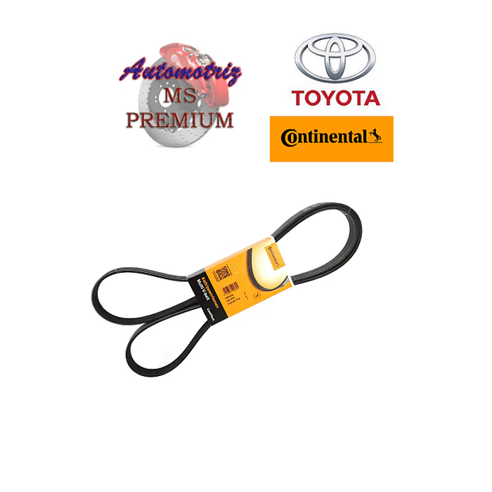 Correa de Accesorios Toyota Rav4 2.0 2019-2024