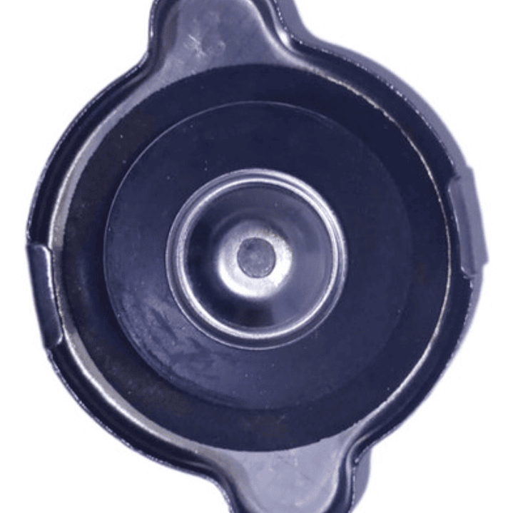 Tapa Radiador Universal Grande 0.9 60mm Con resorte 2