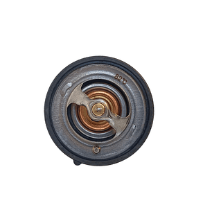 Termostato Hyundai | KIA