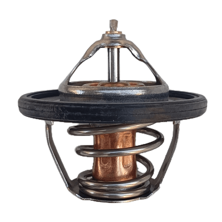 Termostato Hyundai | KIA 1