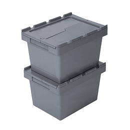 Pack de 2 Cajas Logística FP6 400x300x260 mm Gris