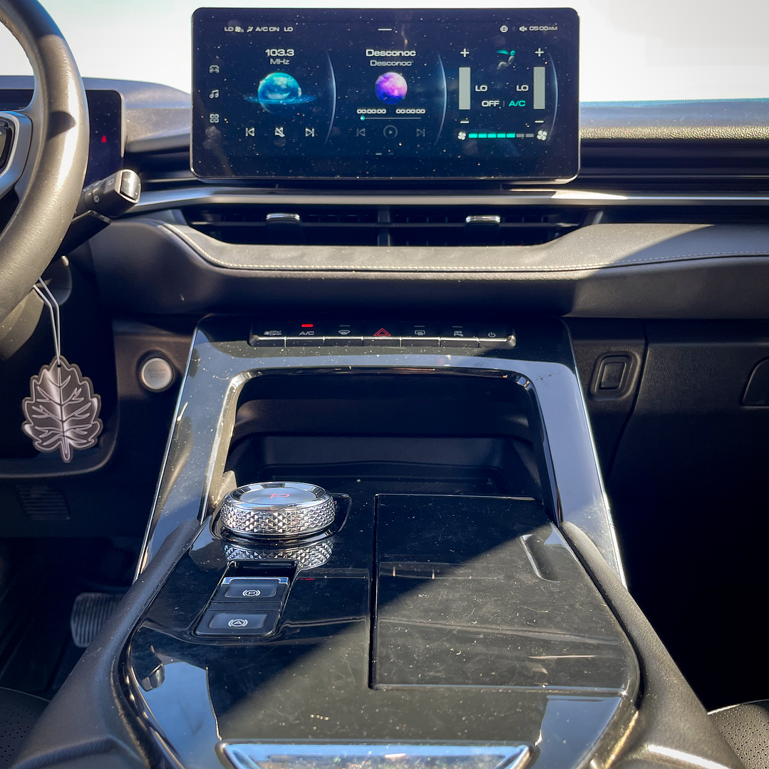 Haval H6 2.0 Turbo Deluxe 2022 13