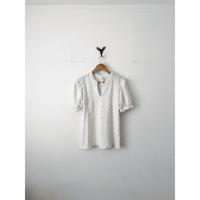 Blusa polera (S)