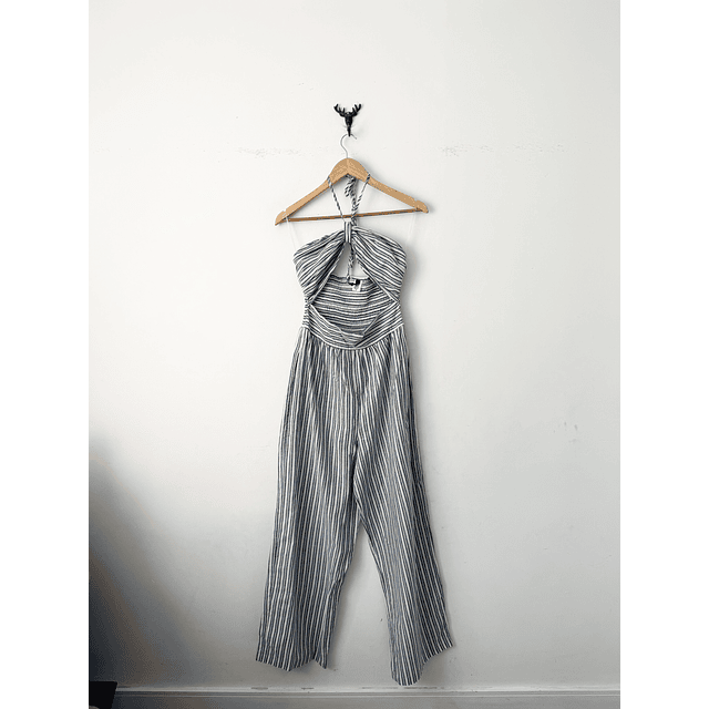 Enterito rayado (SM)