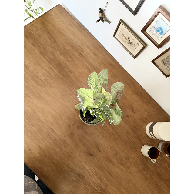 Mesa comedor 