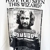 Polera Harry Potter (SM)