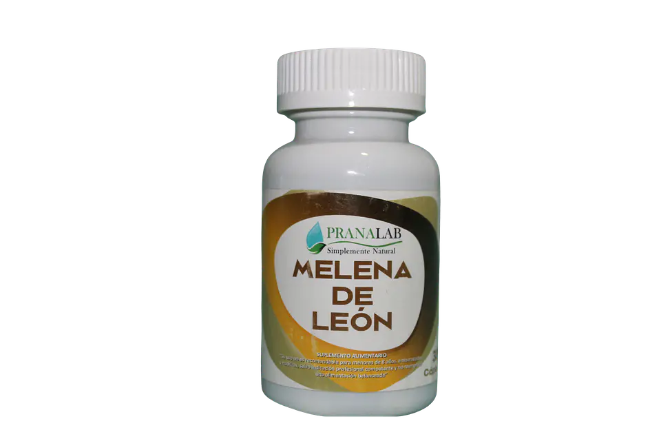 Melena de Leon 1