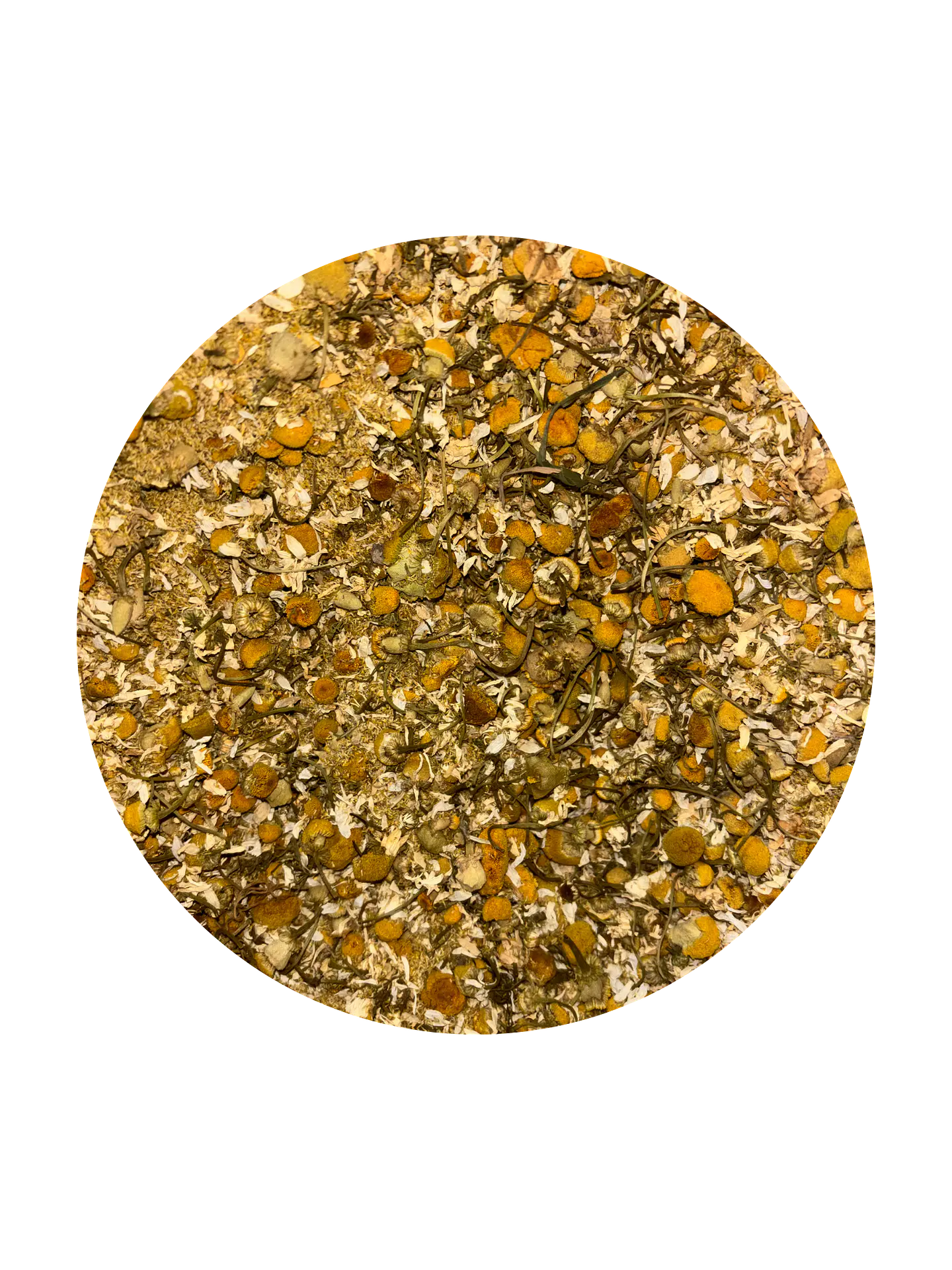 Manzanilla 1