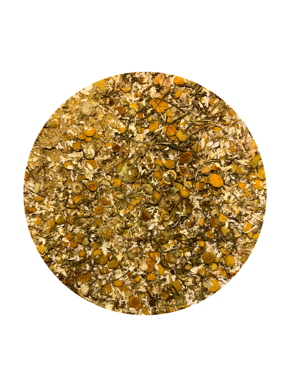 Manzanilla 1