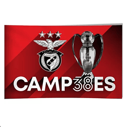 Bandeira SL Benfica Campeão 2022/23