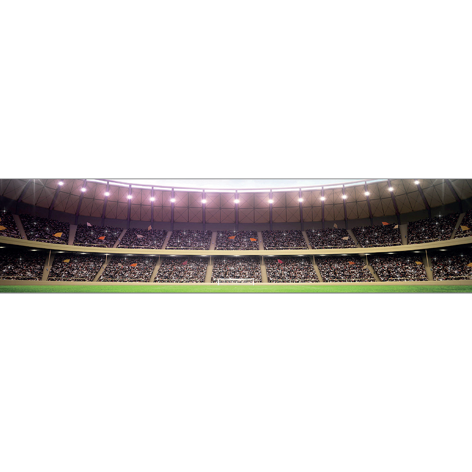 Luminario Stadium Poste 600W Luz Blanco (5,000k) IP65 EG-STADIUM-600W