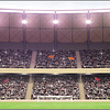 Luminario Stadium Poste 600W Luz Blanco (5,000k) IP65 EG-STADIUM-600W