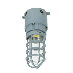 EG-EX_27W_B LUMINARIA A PRUEBA DE EXPLOSION 27W 3,000LM 100-277V 5000K IP66 CLASE 1 DIV 2