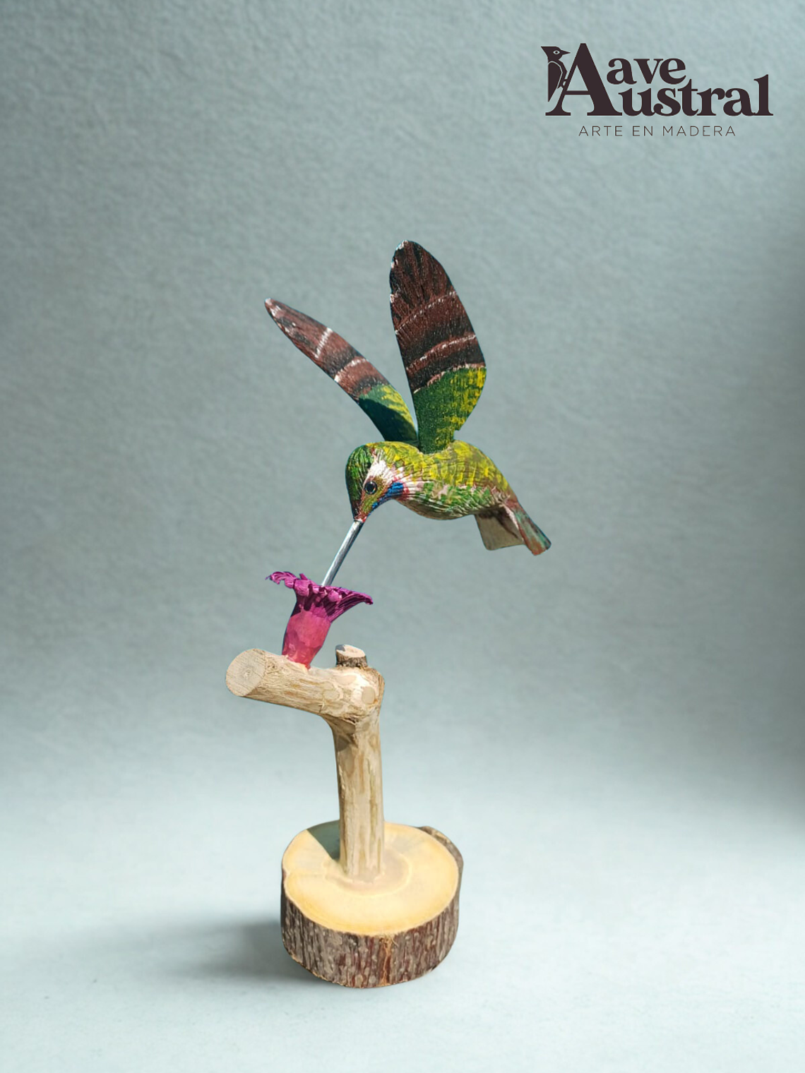 Picaflor Chileno en vuelo con Pedestal 1