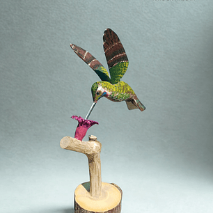 Picaflor Chileno en vuelo con Pedestal