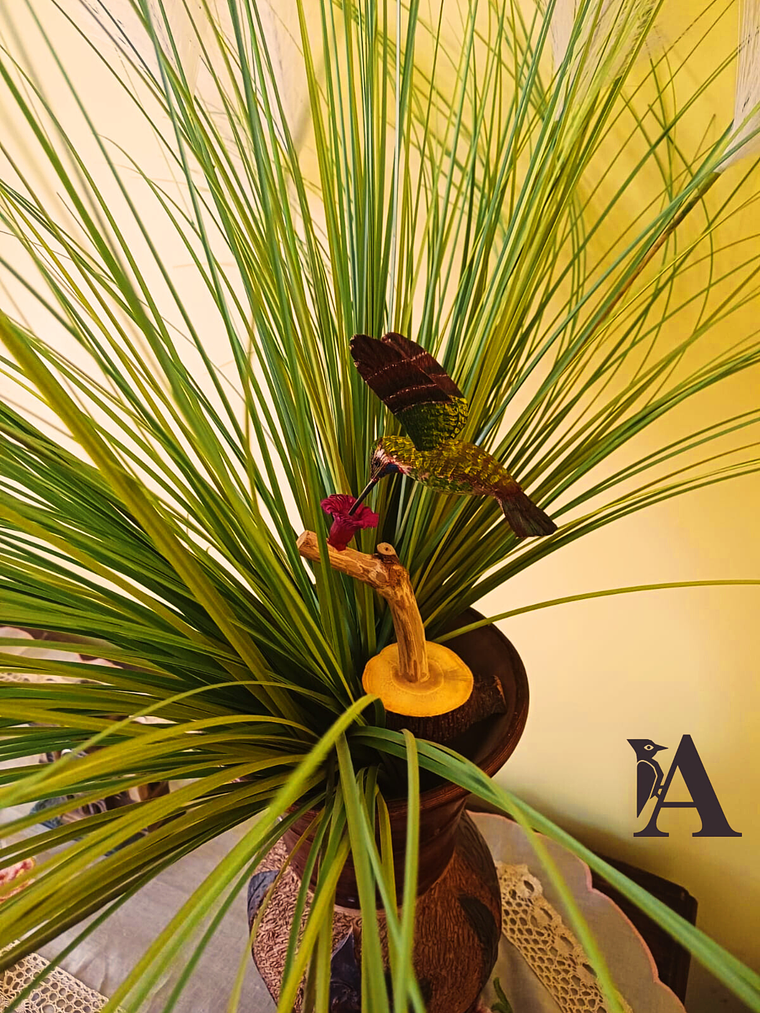 Picaflor Chileno en vuelo con Pedestal 2